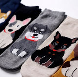 Anyfootwear 5 Pairs One Size 5-9 Multicolor Dog Cartoon Socks Spring Summer Fashion Cotton Cute Women's Socks Happy Funny Casual Socks