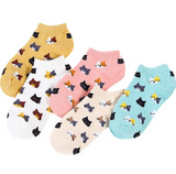 Anyfootwear 5 Pairs One Size 5-9 Candy Color Kitten Summer Invisible Female Fashion Casual Cute Cartoon Short Cotton Ladies Dropship