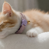Anypet Small Purple Pink Cat Collar with Safety Buckle, Bell & Durable Adjustable Strap – Stylish Comfortable Pet Accessory for Cats