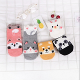 Anyfootwear 5 Pairs One Size 5-9 Candy Color Pets Cartoon Socks Spring Summer Fashion Cotton Cute Happy Funny Casual Socks For Women