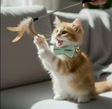 Anypet Stylish Sage Green Bow Cat Collar – Large Size with Safety Buckle, Bell & Durable Strap