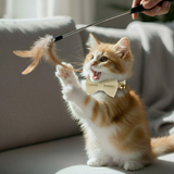 Anypet Stylish Off White Bow Cat Collar – Small Size with Safety Buckle, Bell & Durable Strap