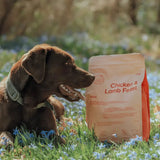 Sample Chicken & Lamb Feast - 100g