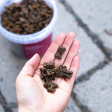 Venison Training Snacks