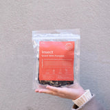 Insect Snack With Pumpkin