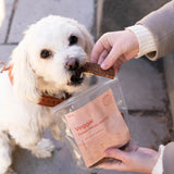 Veggie Sweet Potato Snacks