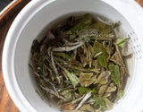 Wild Bai Mu Dan