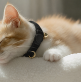 Anypet Stylish Black Cat Collar Large Size Adjustable Pet Collar With Safety Buckle Bell Durable Strap Comfortable Cat Neck Accessory