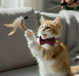 Anypet Stylish Cherry Red Bow Cat Collar – Small Size with Safety Buckle, Bell & Durable Strap