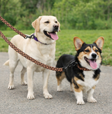 Anypet Brown Leopard Dog Leash - Stylish Comfortable Dog Accessorys