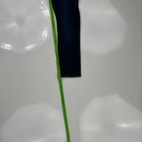 True Religion Skinny Jeans - 23W 24L Dark Wash Cotton Blend