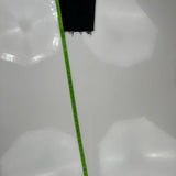 True Religion Denim Shorts - 27W US 4 Black Cotton