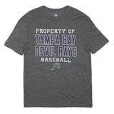 MLB Mens Grey Tampa Bay Devil Rays Baseball Graphic T-Shirt M Crew Neck Short