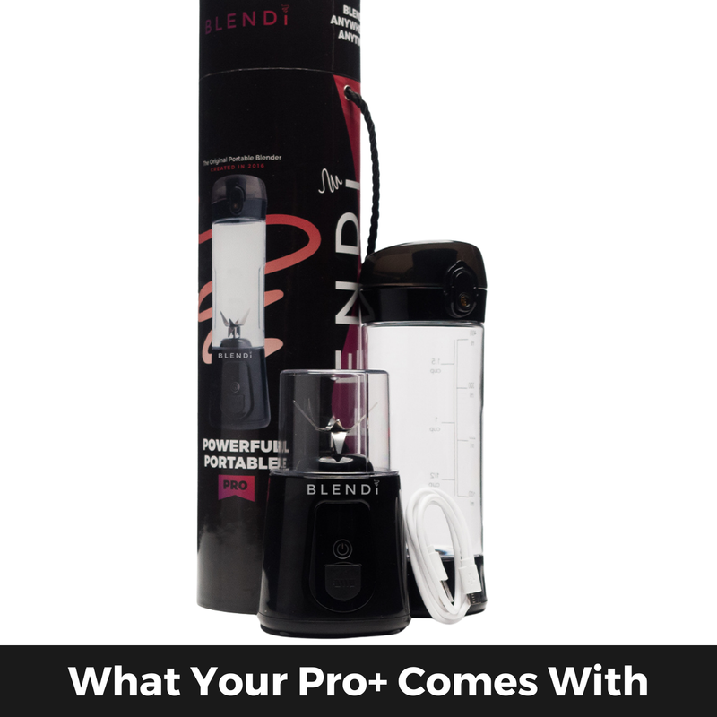 Pro+ Ice-Crushing Power Blender (120W)