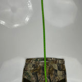 Wrangler Camo Cargo Pants - 33W 32L Camo Cotton