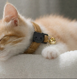 Anypet Small Choco Brown Cat Collar with Safety Buckle, Bell & Durable Adjustable Strap – Stylish Comfortable Pet Accessory for Cats