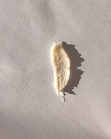 Exploration 01 Ampoule Repair Shampoo