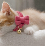 Anypet Stylish Pink Cat Collar Large Size – Adjustable Safety Buckle, Bell & Durable Strap for Cats & Small Pets