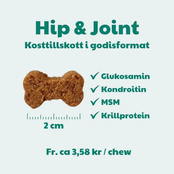 BuddyCare - Hip & Joint