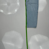 Levis Jeans - 30W 30L Light Wash Cotton