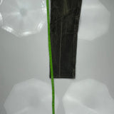 Kuhl Pants - 34W 31L Green Cotton