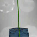 501 Levis Jeans - 36W 29L Blue Cotton