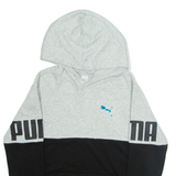 PUMA Mens Grey Hoodie L