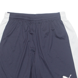 PUMA Mens Sports Shorts Blue Relaxed L W30