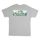 CHAMPION Mens T-Shirt Grey L
