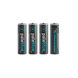 AA USB-C Rechargeable Batteries