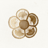 Flower Basket - Home Decor