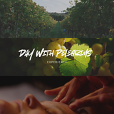 “Day With Pelegrims” Experience