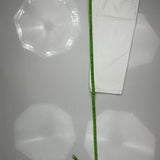 Levis Jeans - 32W 30L White Cotton