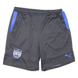PUMA Fort Wayne Football Club Mens Sports Shorts Grey Relaxed L W30
