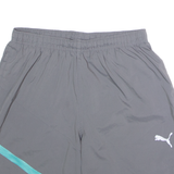 PUMA Mens Sports Shorts Grey M W28