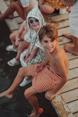 Boys Swim Trunks Sienna Gingham