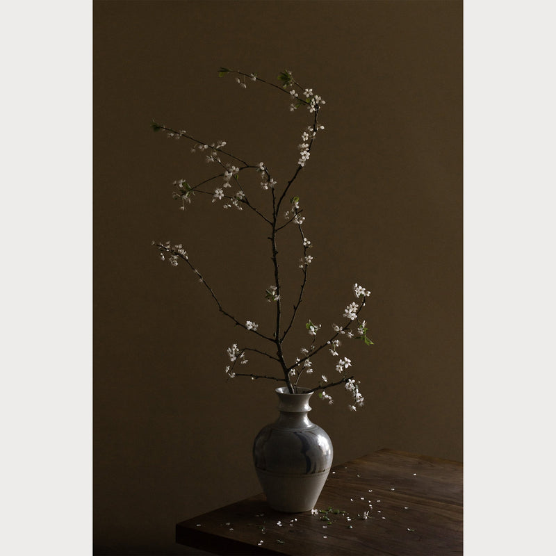 Branches and Blossoms - 8