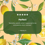 Clear Lemon Bloom iPhone Air Case With Sunbeam Ridge (MagSafe included)