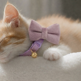 Anypet Large Purple Pink Cat Collar with Safety Buckle, Bell & Durable Adjustable Strap – Stylish Comfortable Pet Accessory for Cats