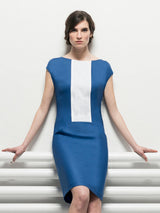 BROOK | Pin-Tuck Panel Shift Dress