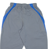 NIKE Dri Fit Mens Sports Shorts Grey S W28