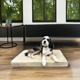 Deluxe Buddy Bed – Advanced Orthopedic Memory Foam Dog Bed for Joint Support