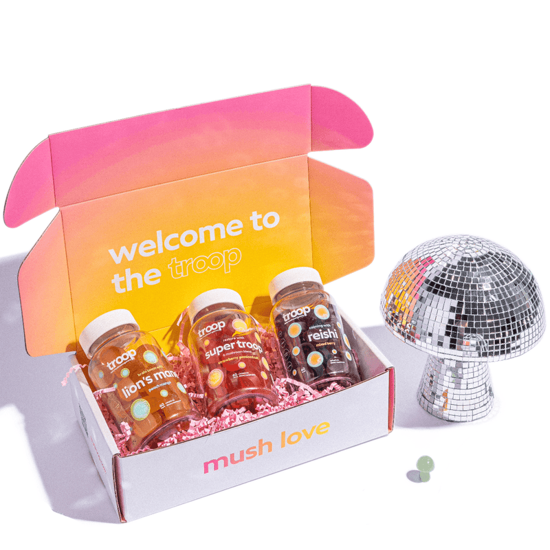 Super Pack + Disco Bundle - Lion's Mane, Super Troop, Reishi