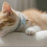 Anypet Small Sky Blue Bow Cat Collar with Safety Buckle, Bell & Durable Adjustable Strap – Stylish Comfortable Pet Accessory for Cats