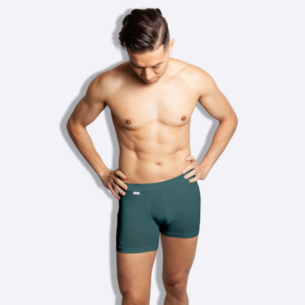 The Dragonfly Boxer Briefs