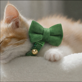 Anypet Small Dark Green Bow Cat Collar with Safety Buckle, Bell & Durable Adjustable Strap – Stylish Comfortable Pet Accessory for Cats
