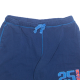 CRANE Mens Casual Shorts Blue L W30