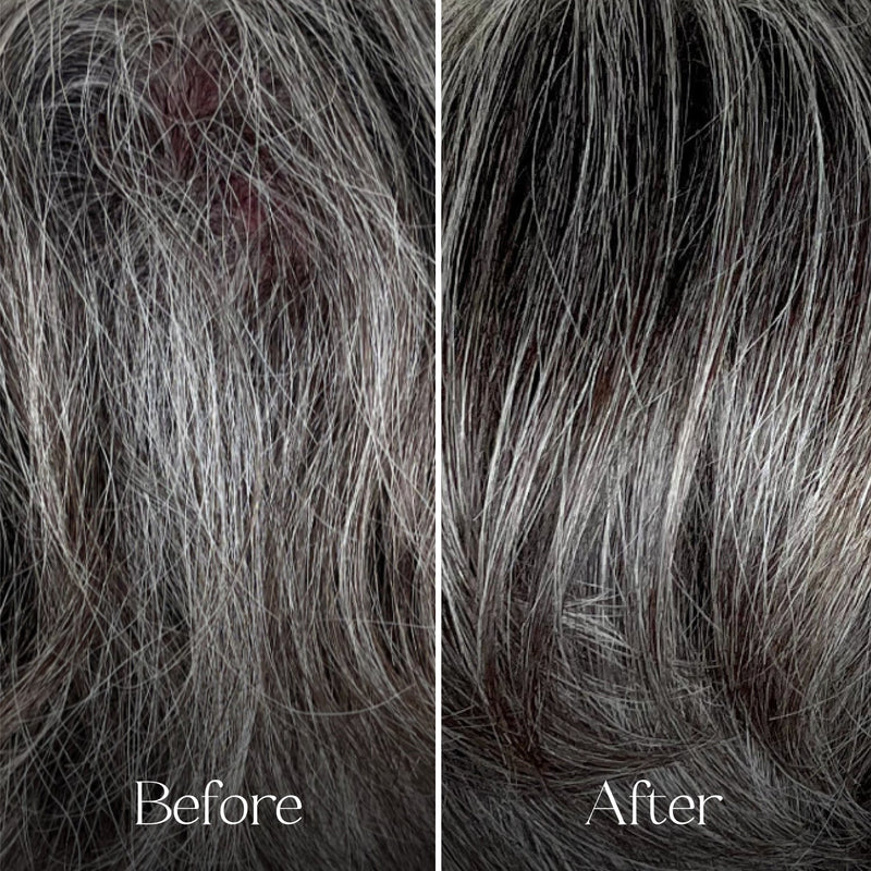 The Shampoo Concentrate Tin