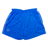 NIKE Mens Casual Shorts Blue Striped XL W30