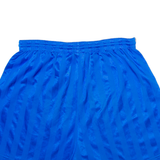 NIKE Mens Casual Shorts Blue Striped XL W30